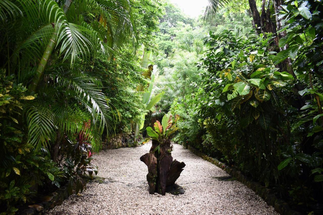 Playa Santa Teresa  Pachamama Lodge المظهر الخارجي الصورة